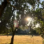 Terrarossa *