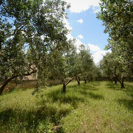 Terrarossa Villa Crispiano